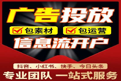 SEM运营推广策略：成功案例解析