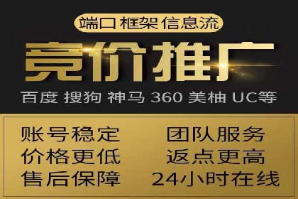 竞价推广实战：案例分析行业领军企业的成功之道